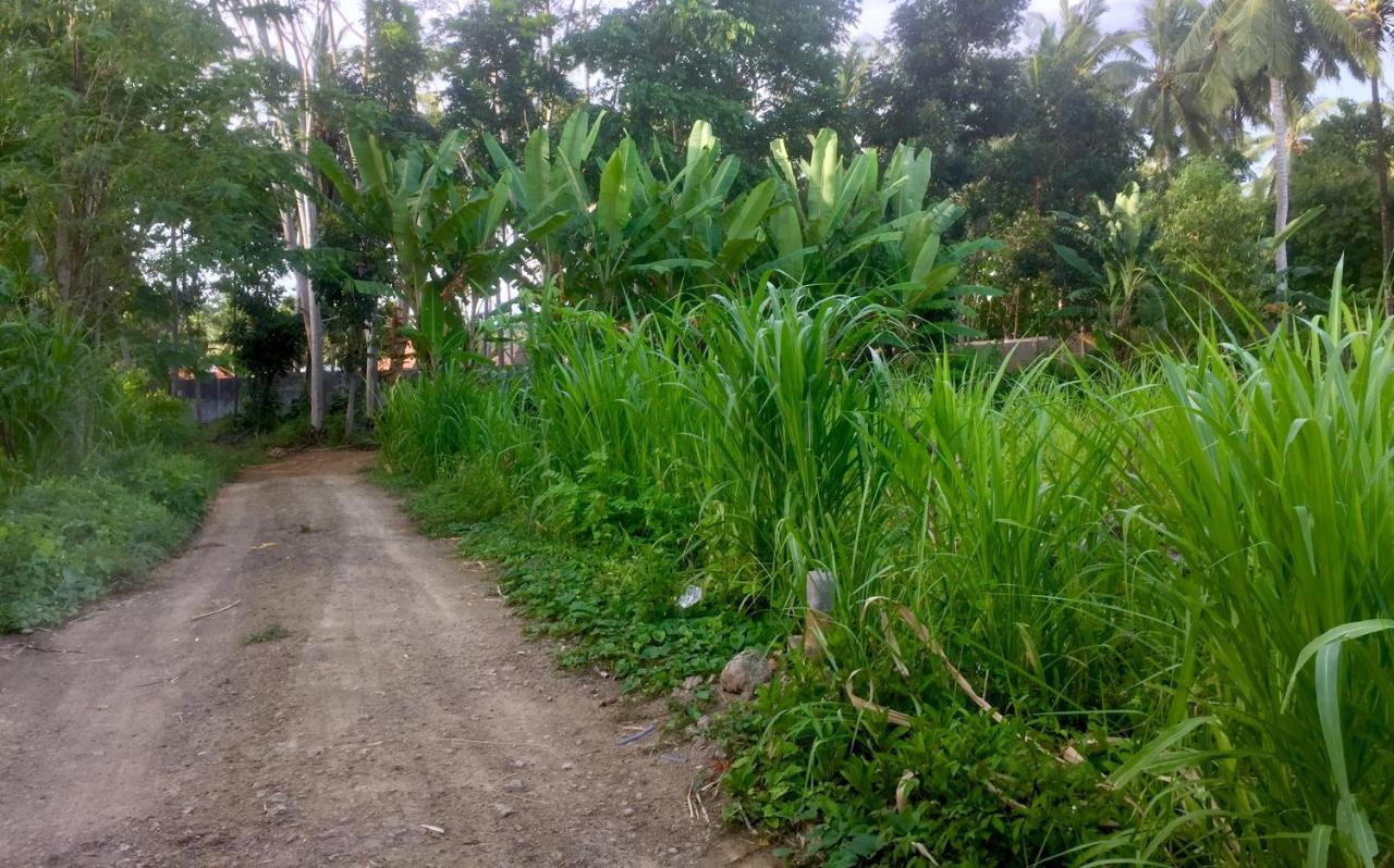 Kuta  Chemel Homestay מראה חיצוני תמונה